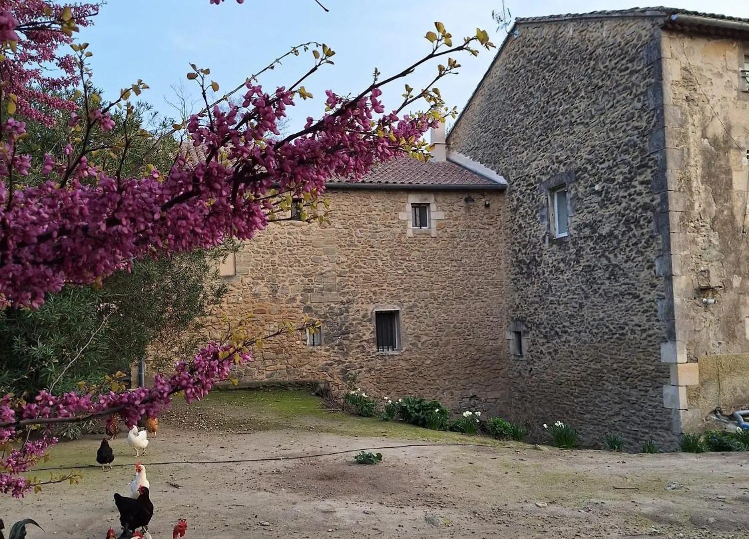 Campagne Apartment Avignon France